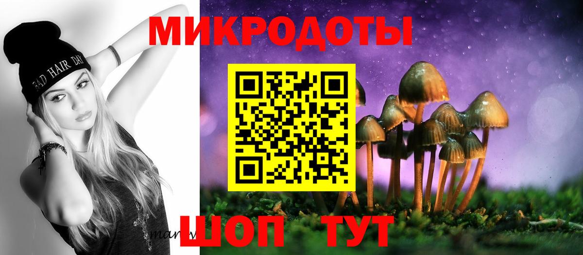 Красноармейск  Псилоцибиновые грибы Cubensis  Вход с VPN 